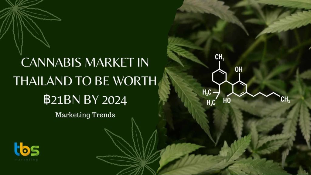 Cannabis-market-in-Thailand-to-be-worth-฿21bn-by-2024 Cannabis-market-in-Thailand-to-be-worth-฿21bn-by-2024